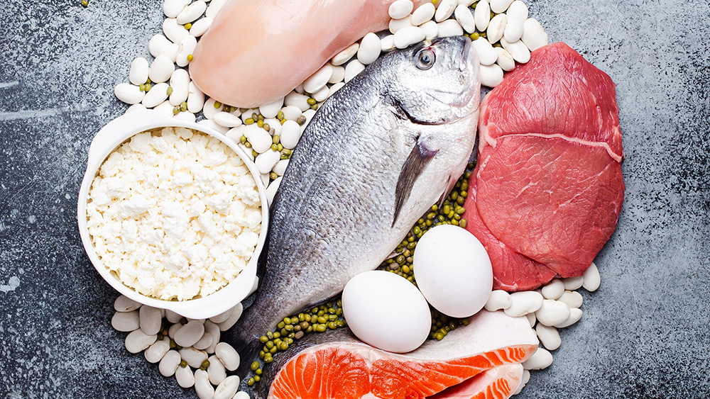 Source of Proteins